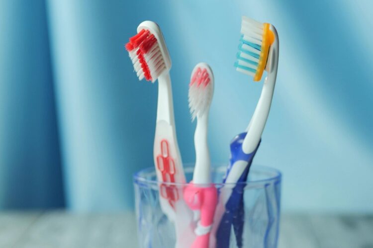cepillos de dientes en un vaso